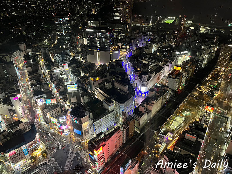 澀谷sky展望台風景