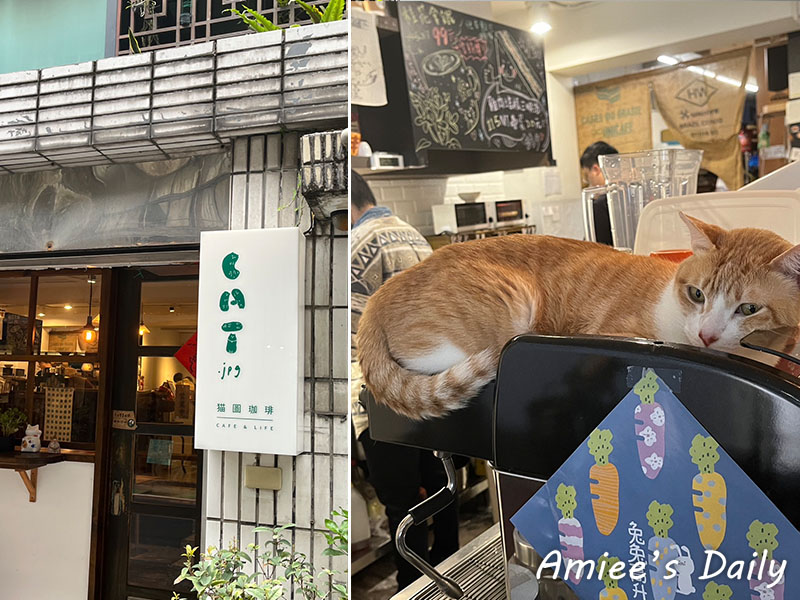 CAT jpg cafe